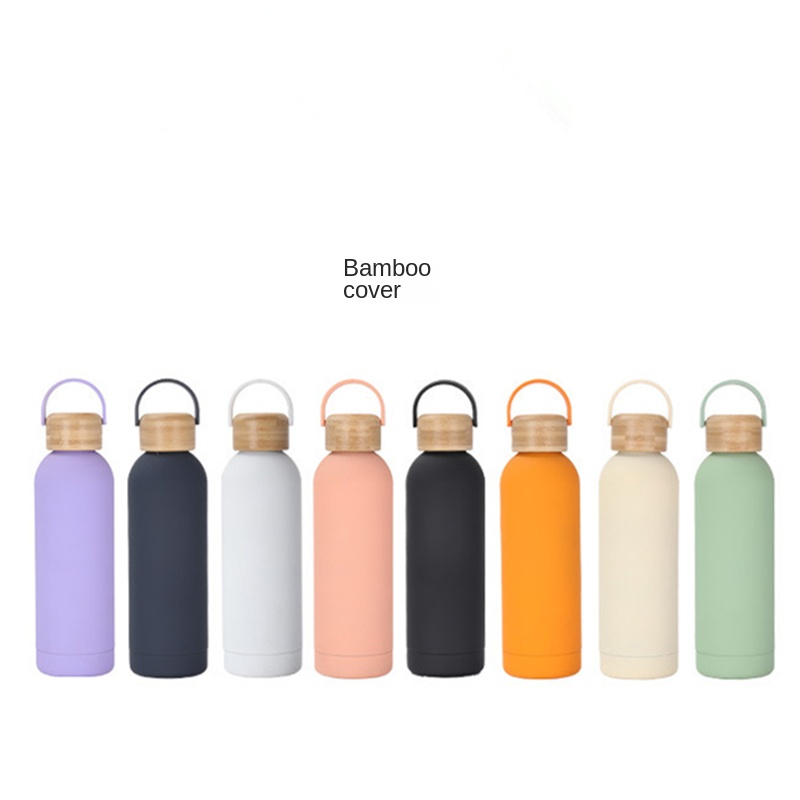 Stainless Steel Vacuum Water Bottle